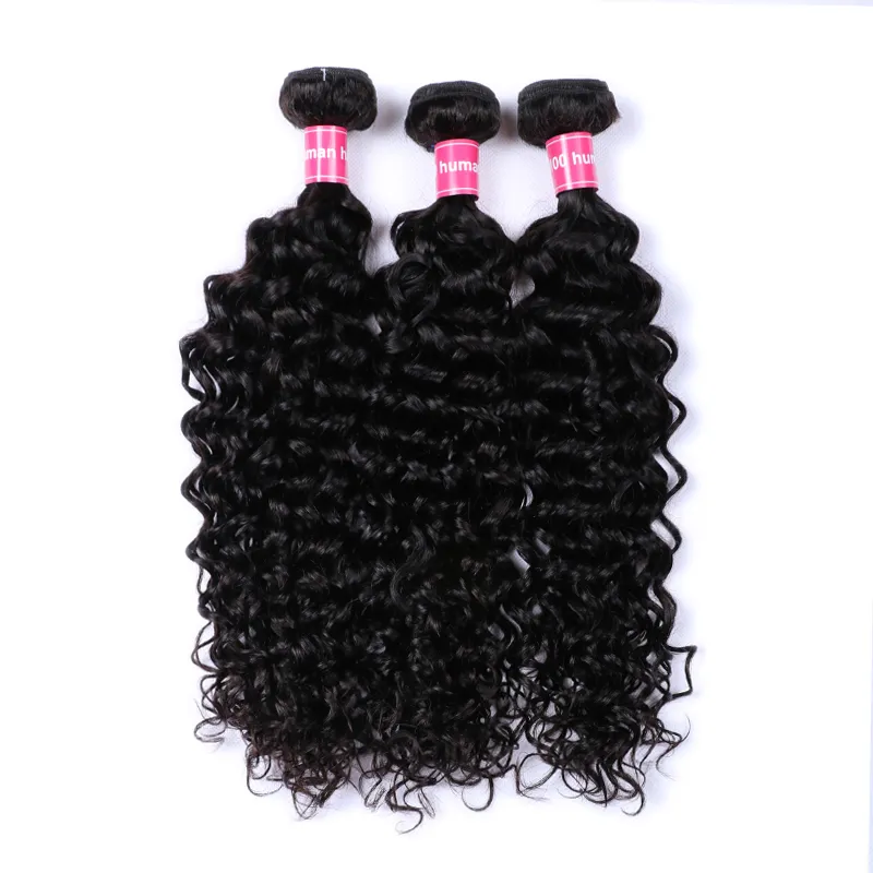 Sterly Hair Water Wave 3 Bundles Virgin Human Hair With 4×4 Lace Closure