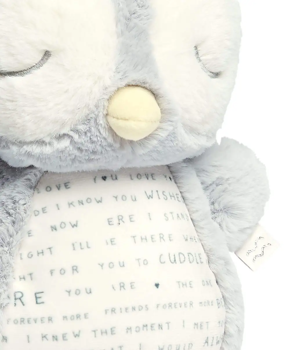 Light & Sounds Sensory Toy - Owlbie