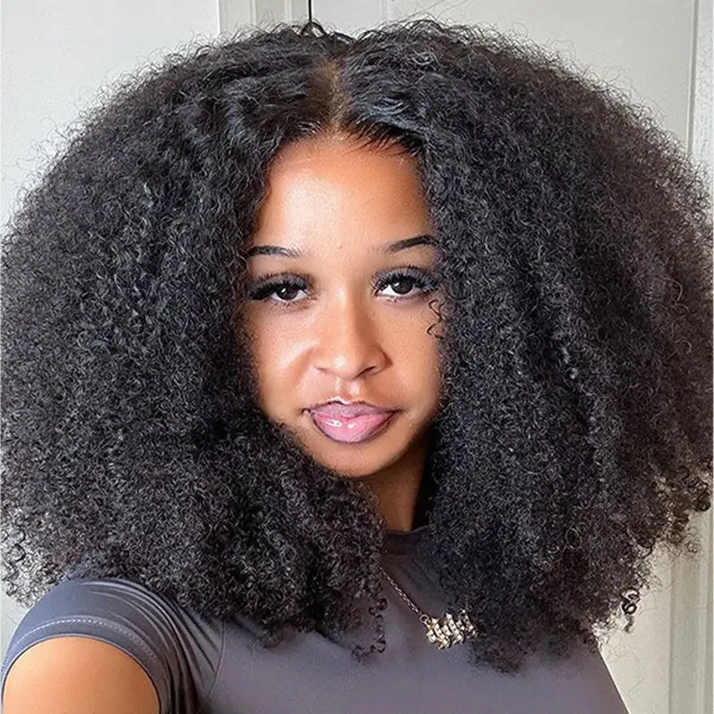 Afro Kinky Curly HD Lace Full Frontal Wig Undetactable HD Lace Human Hair Wig