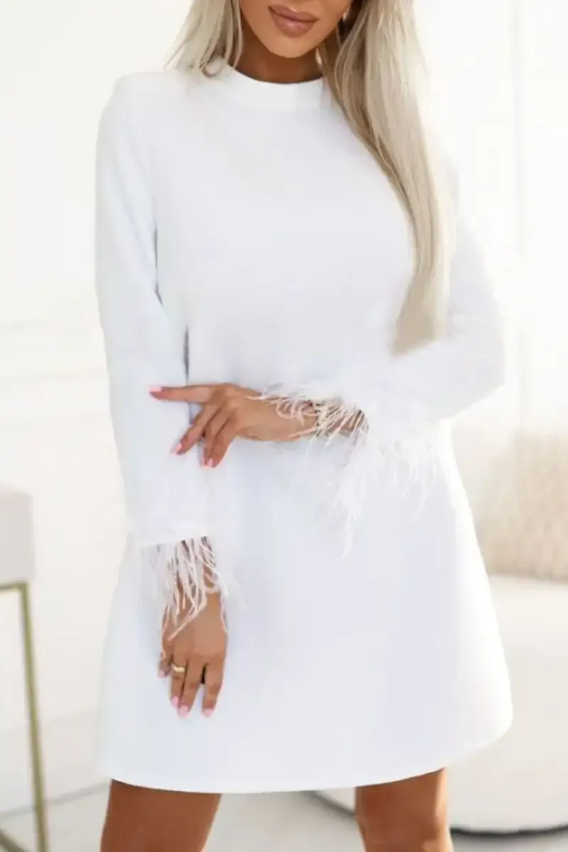 Women's Solid Color Round Neck Dress