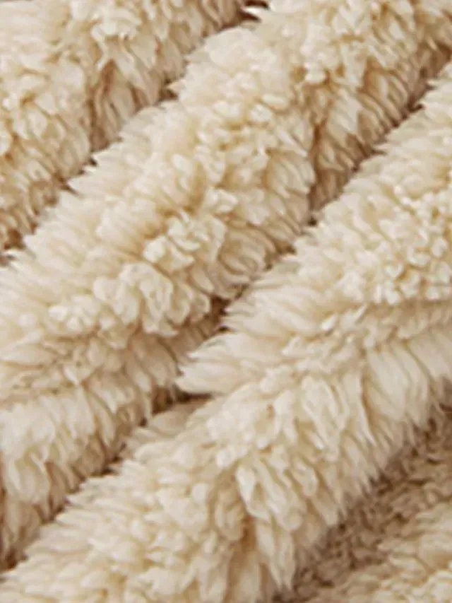 Women's Fleece Jacket Sherpa Jacket Teddy Coat Windproof Warm Outdoor Street Daily Wear Vacation Zipper Pocket Zipper Turndown Plush Modern Casual Street Style Plain Regular Fit Outerwear Long Sleeve