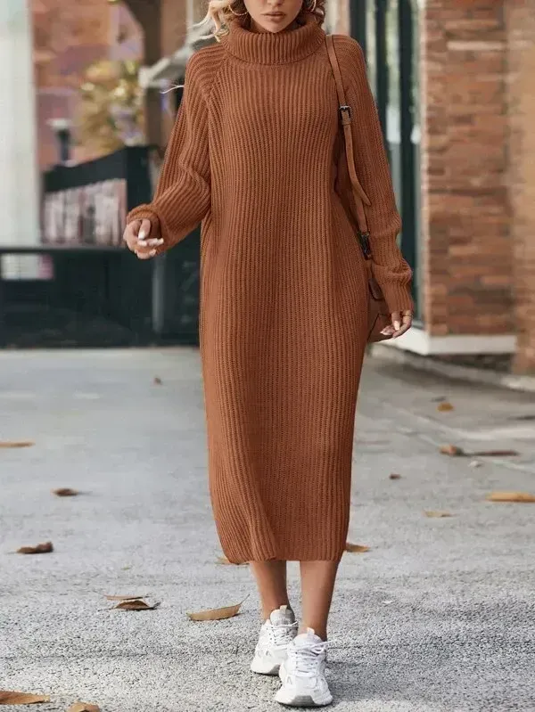 Turtleneck Raglan Sleeve Sweater Dress