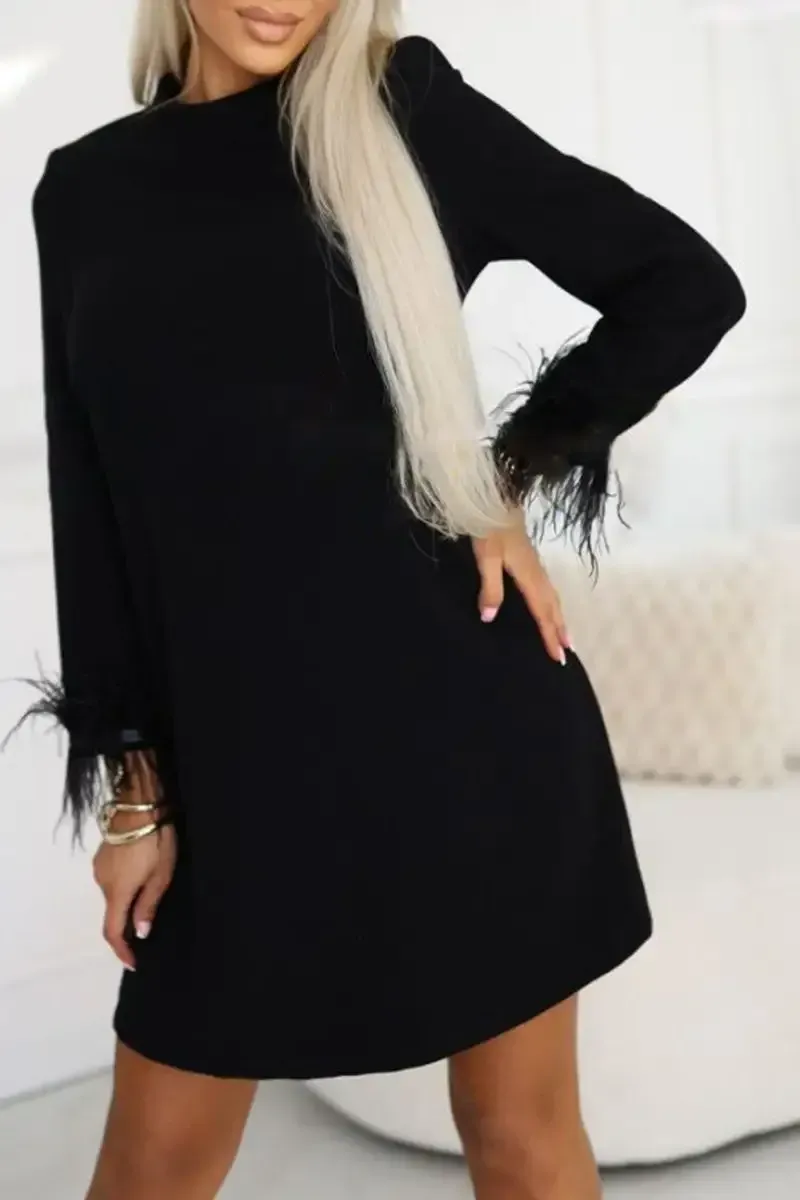 Women's Solid Color Round Neck Dress