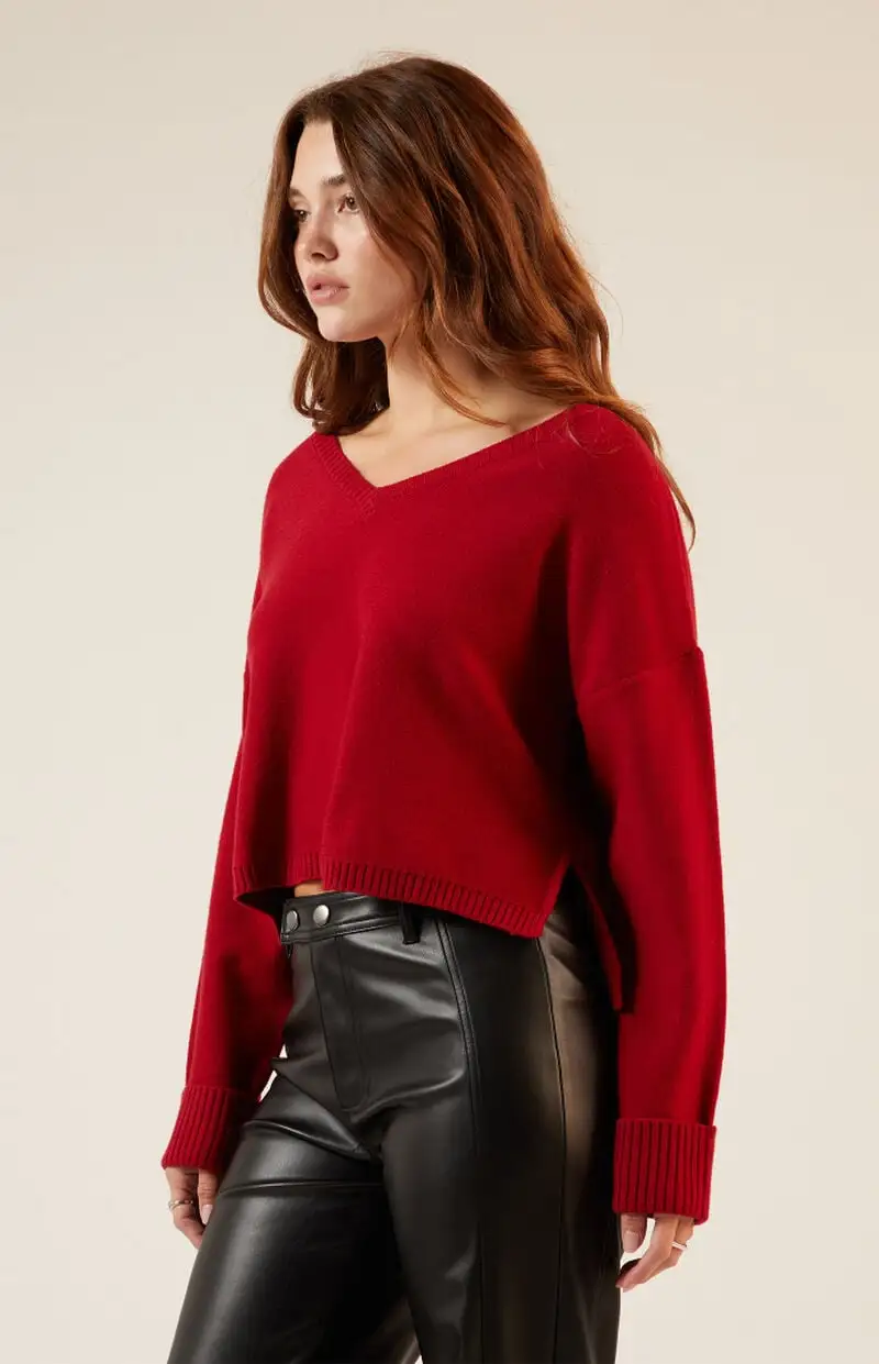 LA Hearts Renata V-Neck Sweater