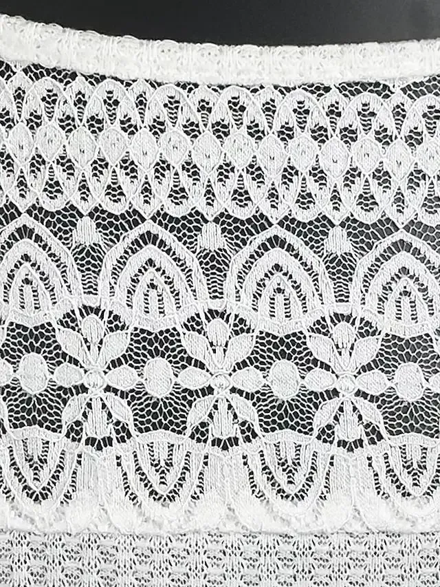 Women's Tank Top White Blue Plain Lace Sleeveless Casual Basic V Neck Regular S