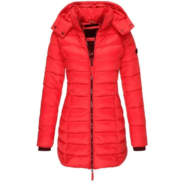 Stylish Jacket with Hood