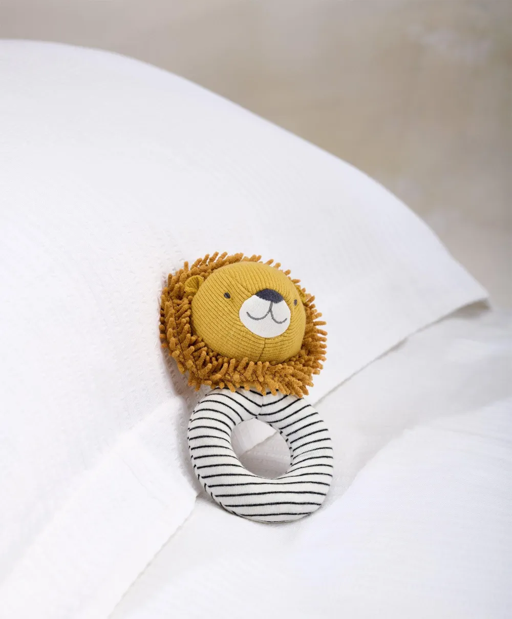 Grabber Educational Toy - Lion