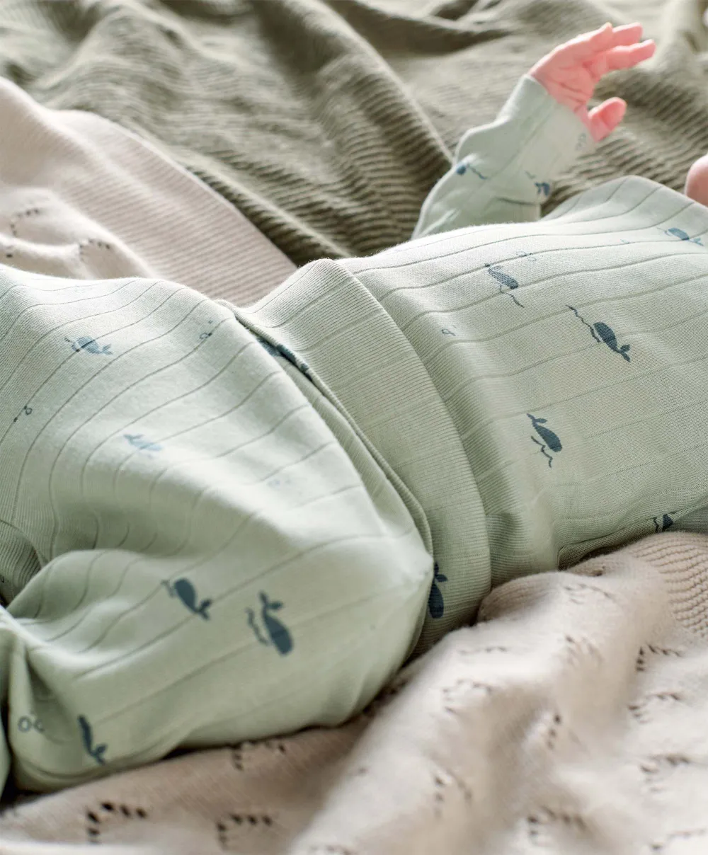 Whale Outfit Set (3 Piece) - Green