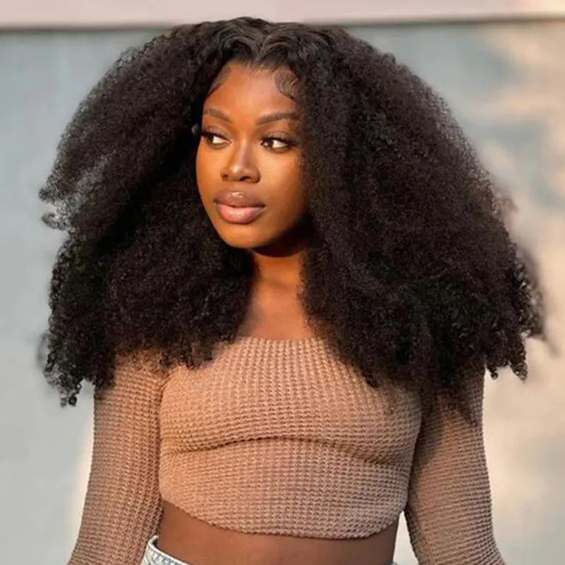 Afro Kinky Curly HD Lace Full Frontal Wig Undetactable HD Lace Human Hair Wig